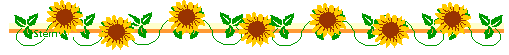 sunflowerborder.gif (2735 bytes)